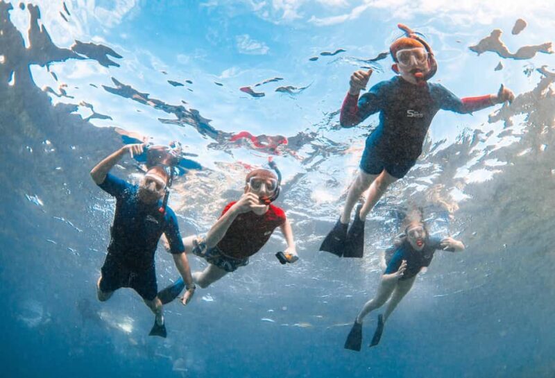 From Kihei: Molokini Snorkel 2-Hour Adventure - The Practical Details