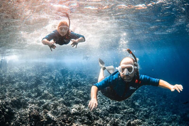 From Kihei: Molokini Snorkel 2-Hour Adventure - The Sum Up