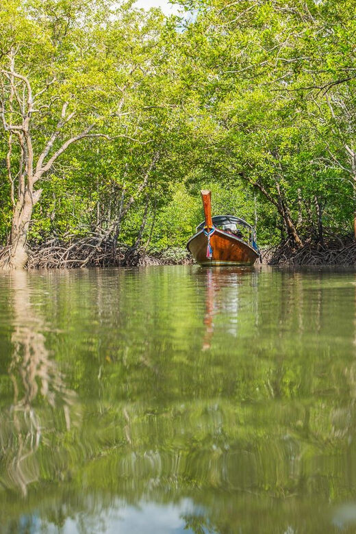 From Ko Lanta: Mangrove Eco-Excursion by Longtail Boat - Final Thoughts: Why Choose This Tour?