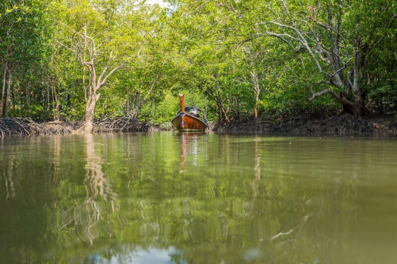 From Ko Lanta: Mangrove Eco-Excursion by Longtail Boat - FAQ