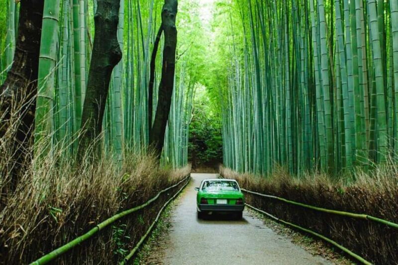 From Kobe/Osaka: Kyoto Full-Day Guided Tour with Vehicle - Authentic Experiences and Practical Details