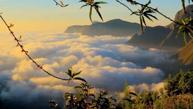 From Kochi:- 02 Days, Munnar Nature Beauty Hill Station Tour - Key Points