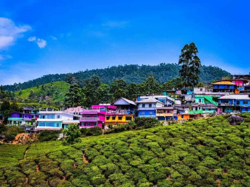 From Kochi:- 02 Days, Munnar Nature Beauty Hill Station Tour - Exploring the Munnar Hill Station Tour