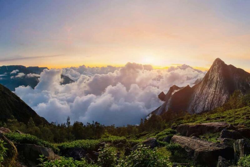 From Kochi:- 02 Days, Munnar Nature Beauty Hill Station Tour - Who Should Consider This Tour?
