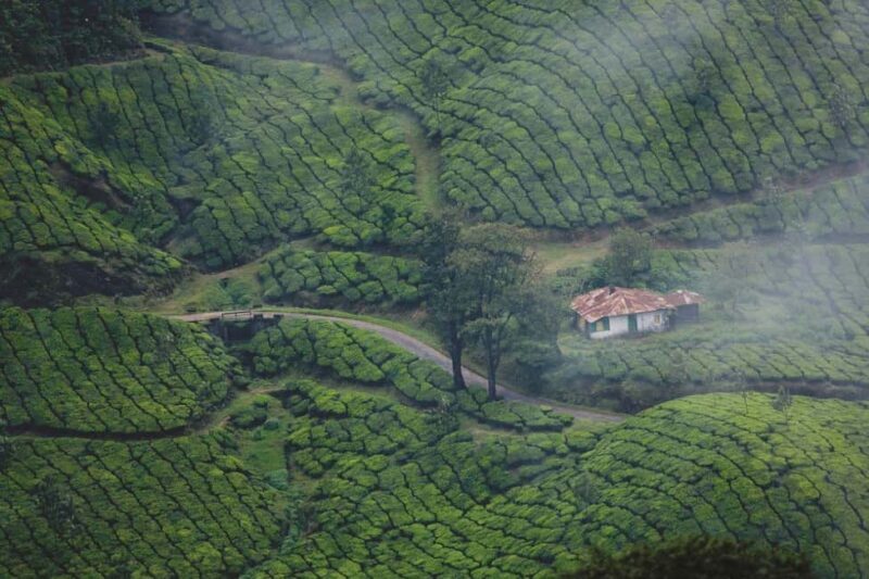 From Kochi:- 03 Days Cochin with Munnar Hill Station Tour - FAQ