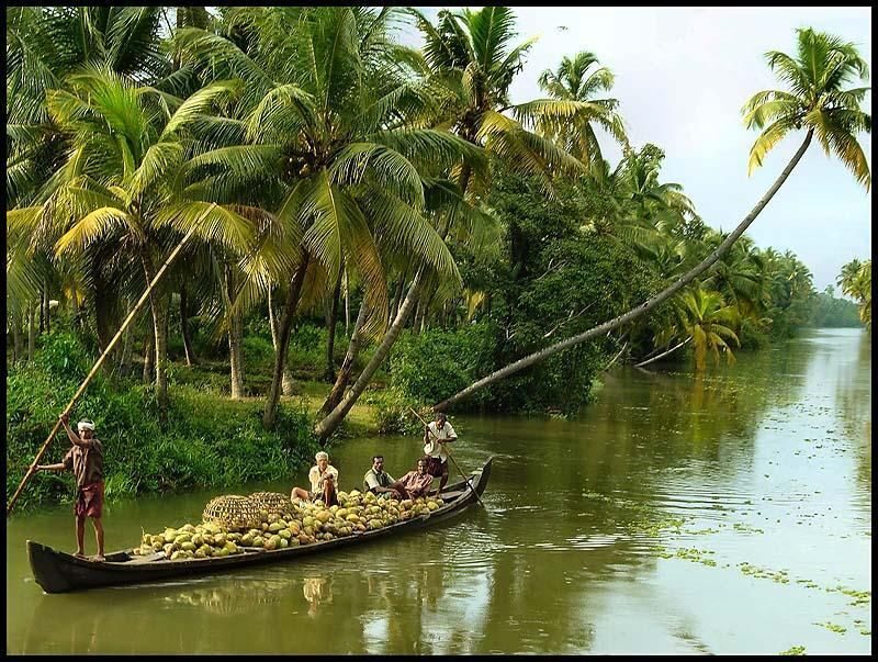 From Kochi: 2-Day 1-Night Alappuzha Private Houseboat Cruise - Key Points