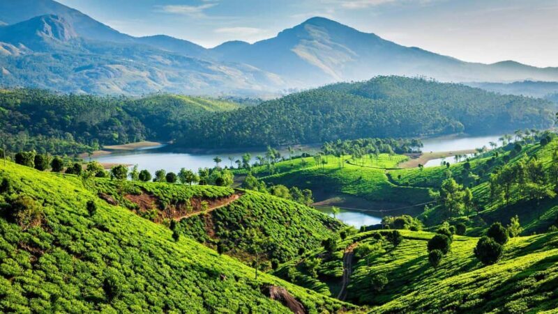 From Kochi: 3-Day Periyar Wildlife Sanctuary Tour - Arrival in Thekkady and First Impressions