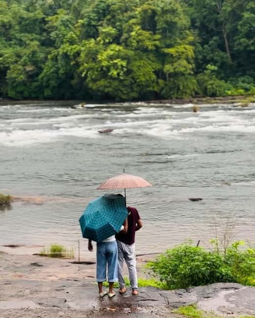 From Kochi: Athirappilly Waterfalls Day Trip with Transfers - Practical Details and Tips