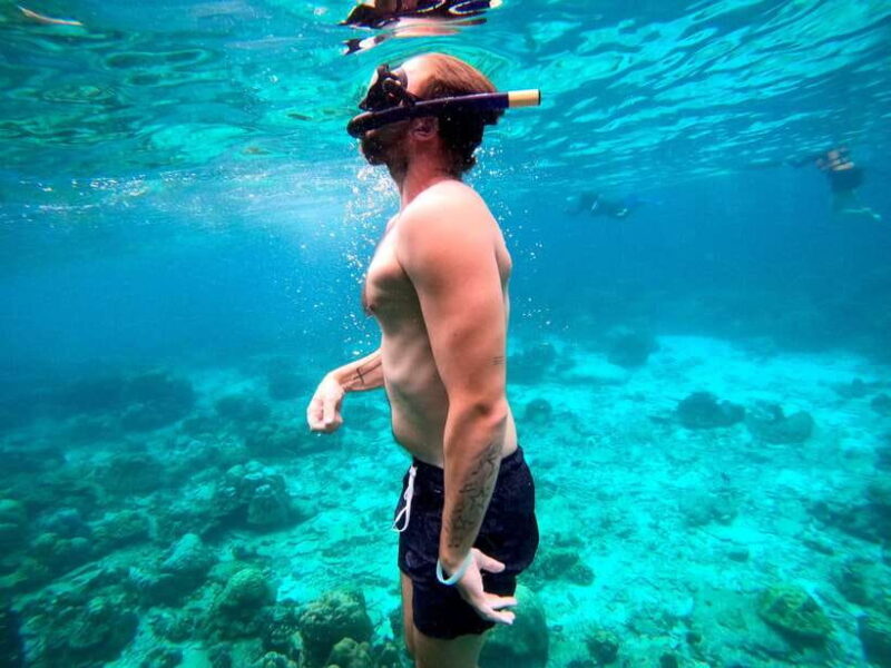 From Koh Lanta: Koh Haa & Koh Rok Snorkel Tour by Speedboat - Who Will Love This Tour?