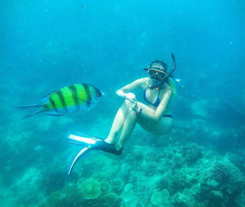 From Koh Lanta: Koh Haa & Koh Rok Snorkel Tour by Speedboat - Practical Tips for a Great Experience