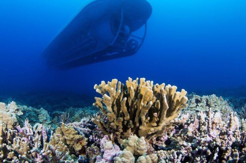 From Kona: Big Island Underwater Submarine Adventure - Exploring the Experience in Detail