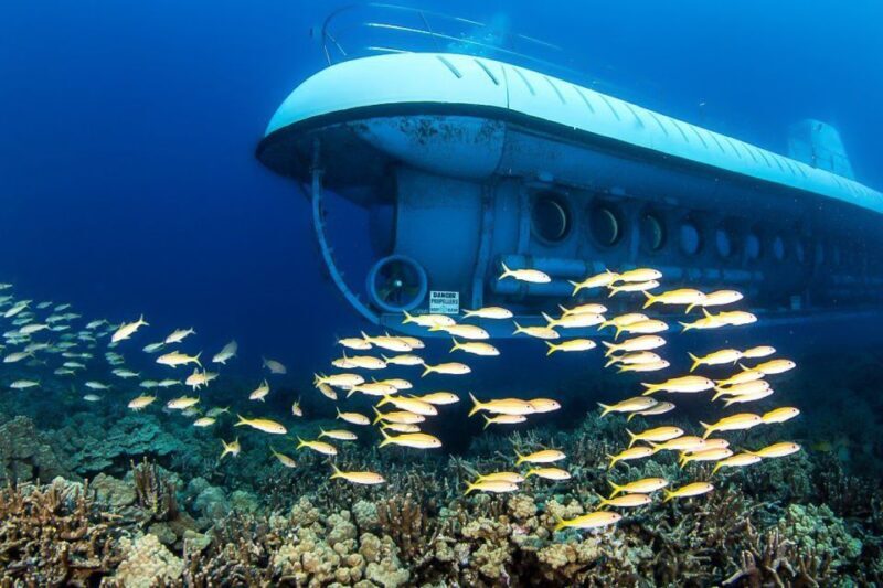 From Kona: Big Island Underwater Submarine Adventure - Final Verdict