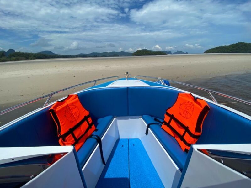From Krabi: Phi Phi Island Full-Day Private Speed Boat Tour - An In-Depth Look at the Phi Phi Private Speedboat Experience