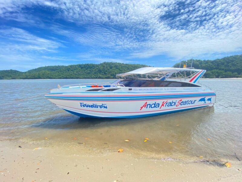 From Krabi: Phi Phi Island Full-Day Private Speed Boat Tour - The Sum Up