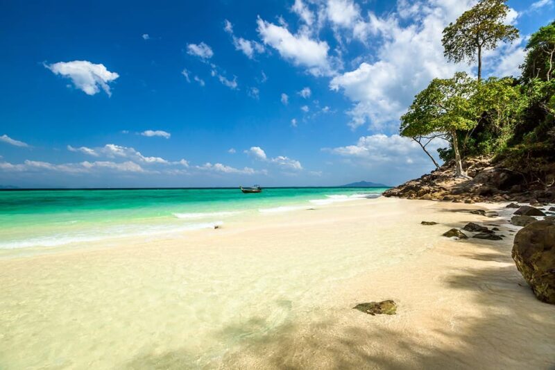From Krabi: Phi Phi Islands Speedboat Day Tour - Who Will Love This Tour?