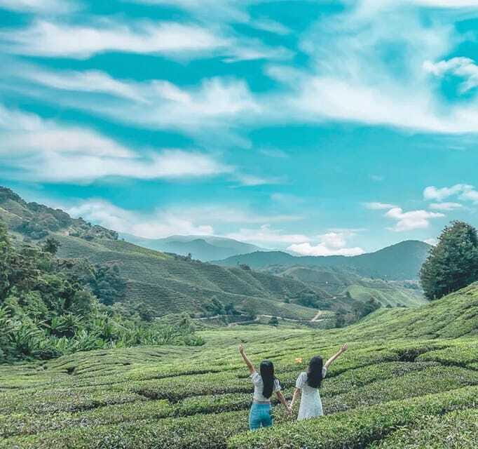 From Kuala Lumpur: Cameron Highlands Day Trip with Transfers - An Authentic Day in Cameron Highlands