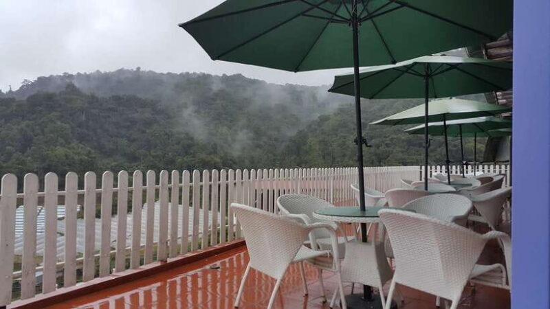 From Kuala Lumpur: Cameron Highlands Full-Day Tour - The Experience: Pros and Cons