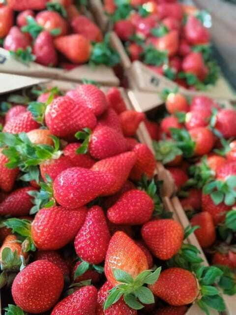From Kuala Lumpur: Cameron Highlands Private or Join In Tour - Practical Tips