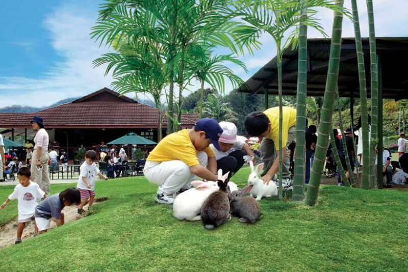 From Kuala Lumpur: Colmar Tropicale and Batu Caves Day Trip - Price & Value Analysis