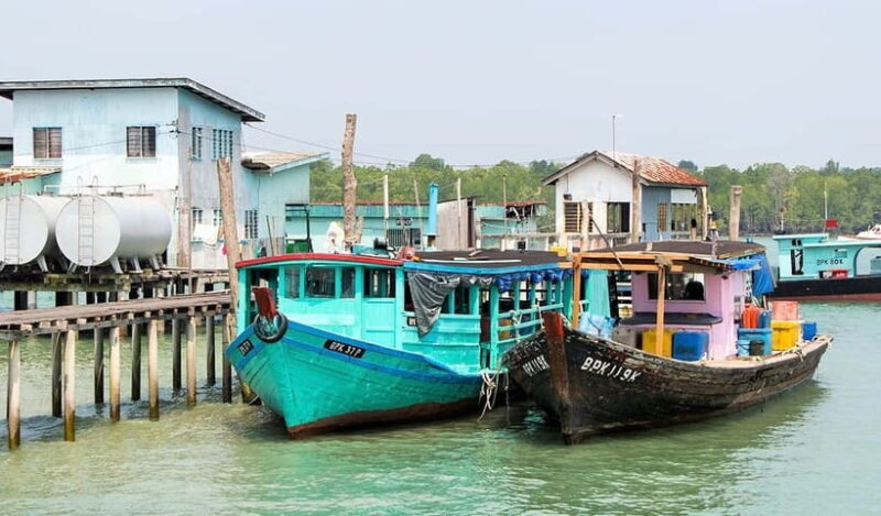 From Kuala Lumpur: Crab Island Tour with Seafood Lunch - Key Points