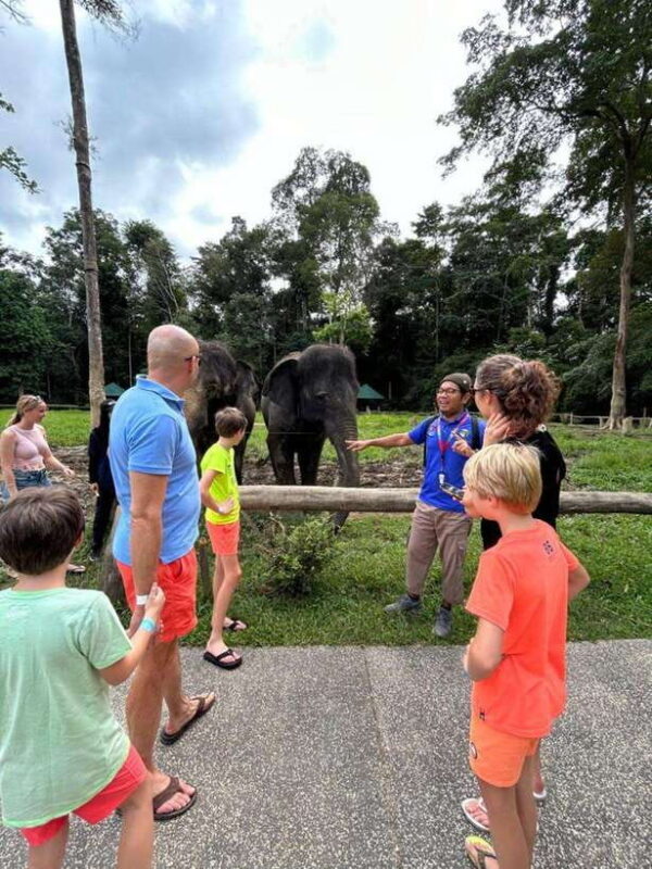 From Kuala Lumpur: Elephant Sanctuary Guided Tour - An Honest Look at the Experience