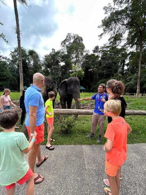 From Kuala Lumpur: Elephant Sanctuary Guided Tour - FAQ