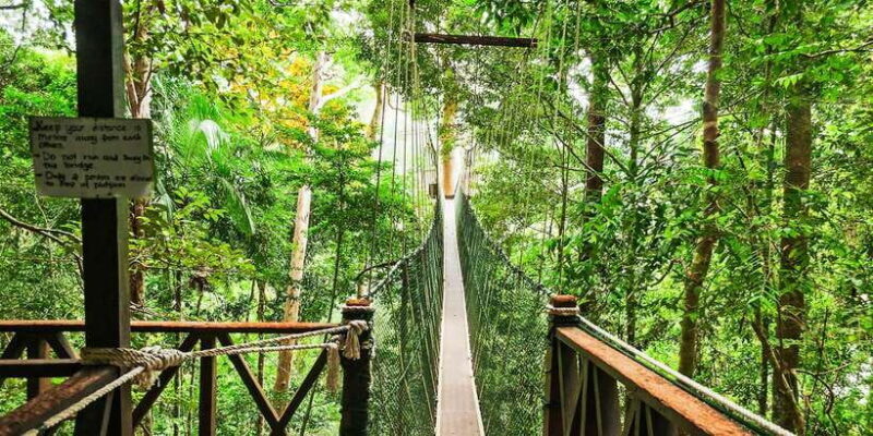 From Kuala Lumpur: Full-Day Taman Negara National Park - Authentic Experiences Highlighted in Reviews
