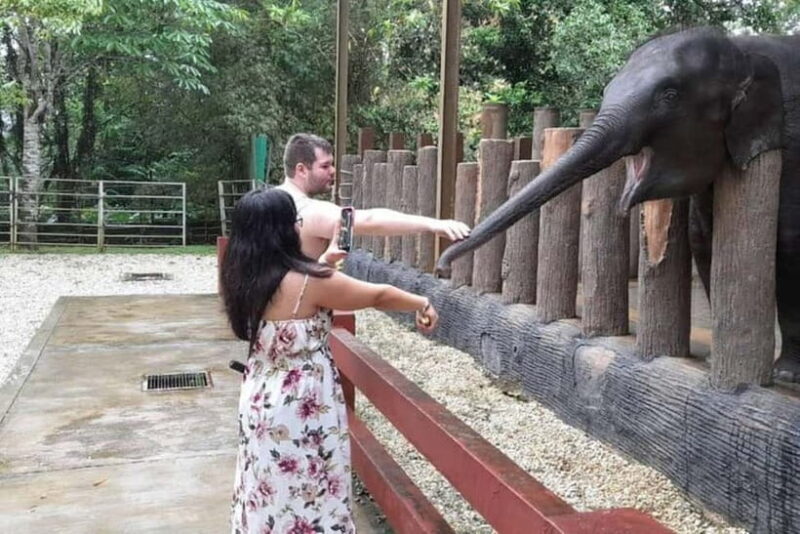 From Kuala Lumpur: Kuala Gandah & Batu Caves Day Trip - A Deep Dive into the Experience