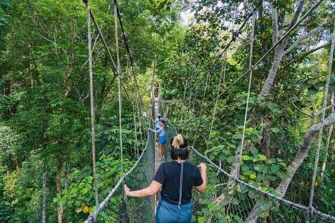 From Kuala Lumpur Taman Negara Day Trip With Lunch - Key Points