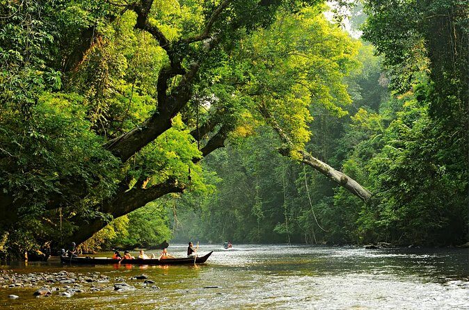 From Kuala Lumpur Taman Negara Day Trip With Lunch - Frequently Asked Questions