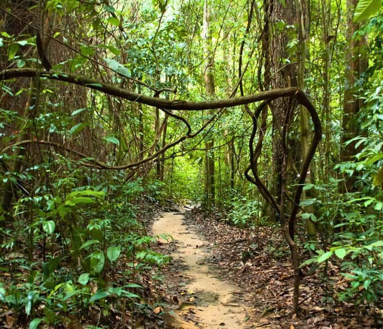 From Kuala Lumpur: Taman Negara National Park Private Tour - Exploring the Heart of Malaysia’s Rainforest: The Full Experience