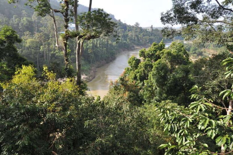 From Kuala Lumpur: Taman Negara National Park Trek Day Tour - Key Points