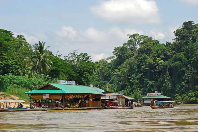 From Kuala Lumpur: Taman Negara National Park Trek Day Tour - Challenges and Considerations