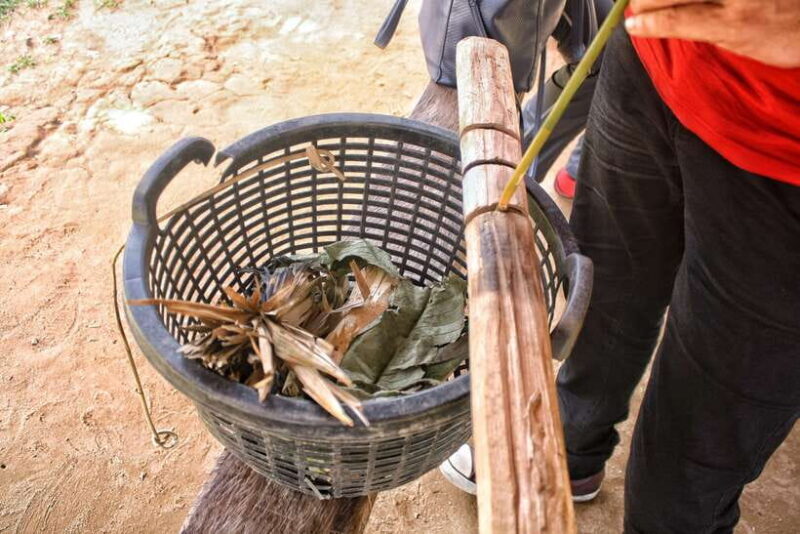 From Kuala Lumpur: Taman Negara National Park Trek Day Tour - Who Should Consider This Tour?