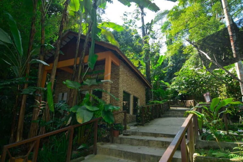 From Kuala Lumpur: Taman Negara Private Tour - Overview of the Experience