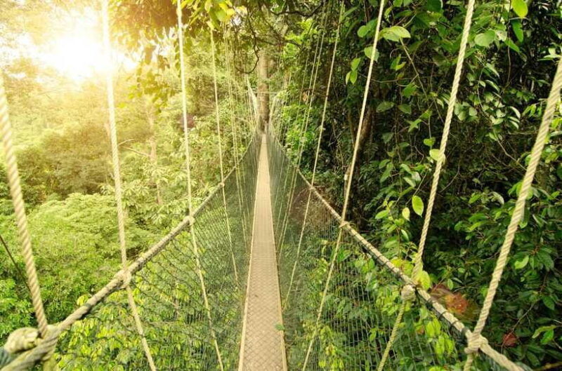 From Kuala Lumpur: Taman Negara Private Tour - Who Will Love This Tour?