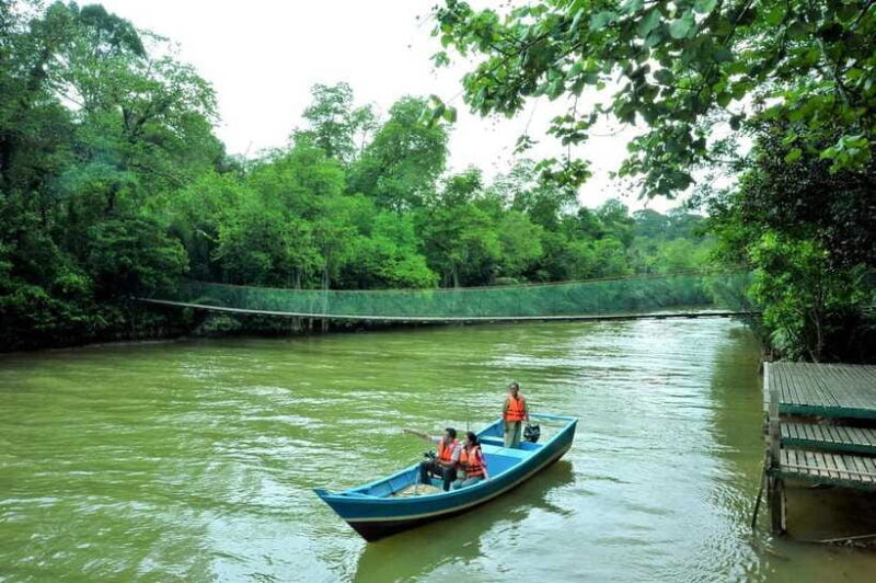 From Kuala Lumpur: Taman Negara Private Tour - Final Thoughts