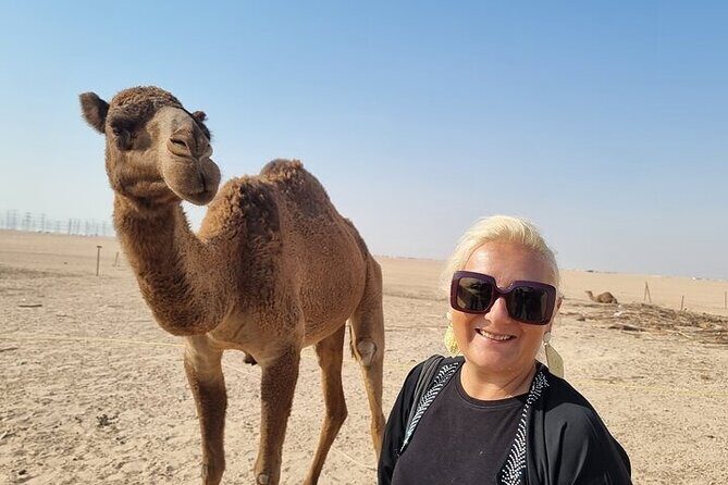 From Kuwait City: Premium Sightseeing Tour in 5 Hours - Key Points