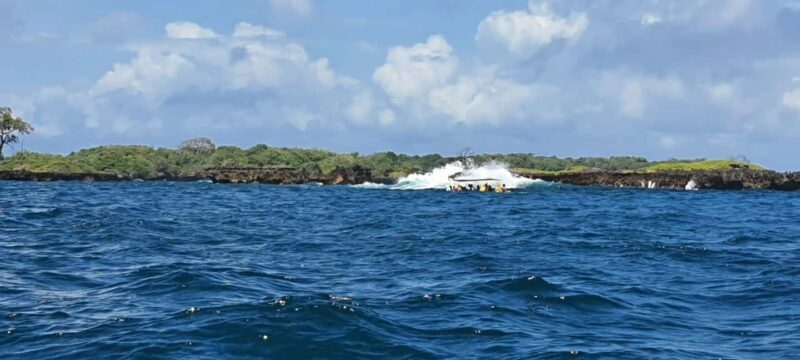 From Kwale: Kisite Mpunguti Marine National Park Tour - An Introduction to the Kisite Mpunguti Marine Park Tour