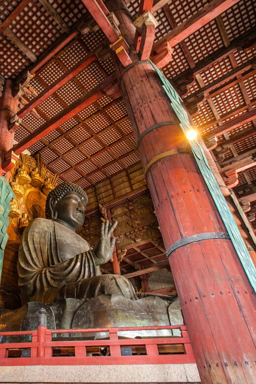 From Kyoto: Nara Guided Half Day Bus Tour - Key Points