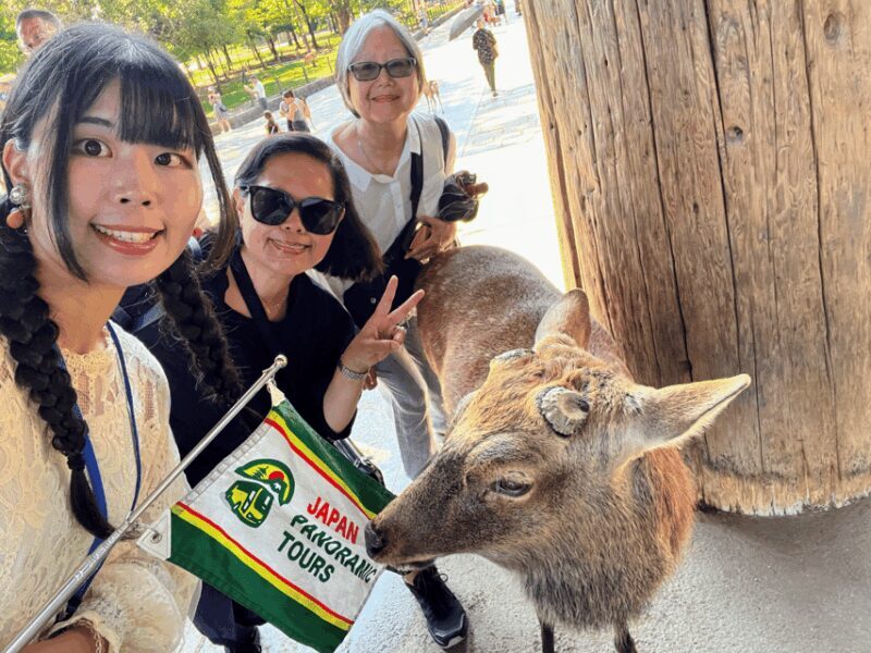 From Kyoto: Nara Guided Morning Tour - The Value for Money