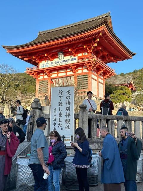 From Kyoto & Osaka: Kyoto Top Attractions Private Day Tour - Transportation and Comfort