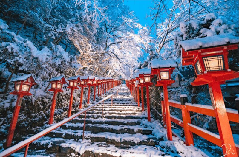 From Kyoto:Day Tour to Kifune Shrine+Kuruma+Sanzen-in Temple - Practical Details and What to Expect