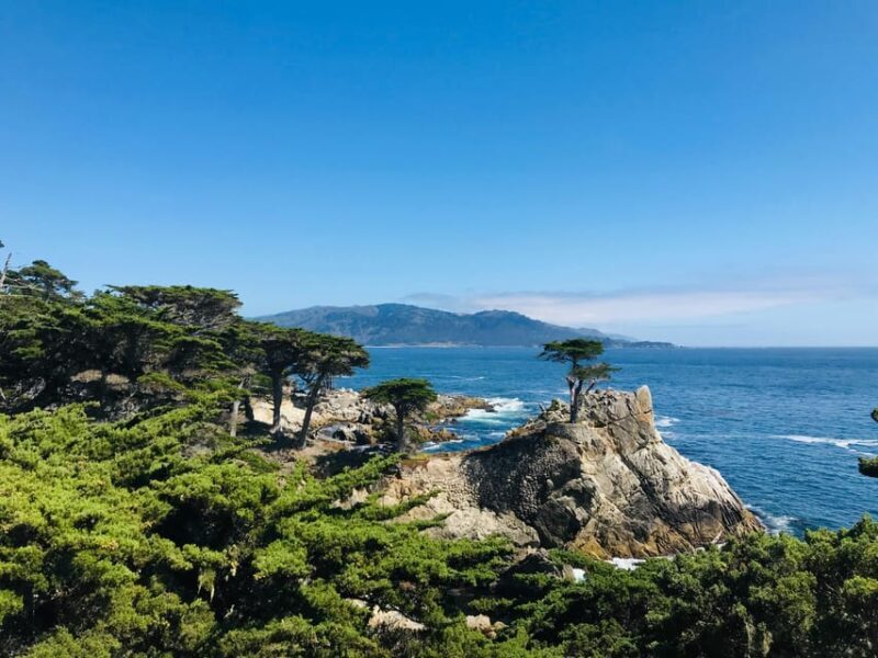 From LA: 3-Day San Francisco and Yosemite Tour Small Group - Final Thoughts