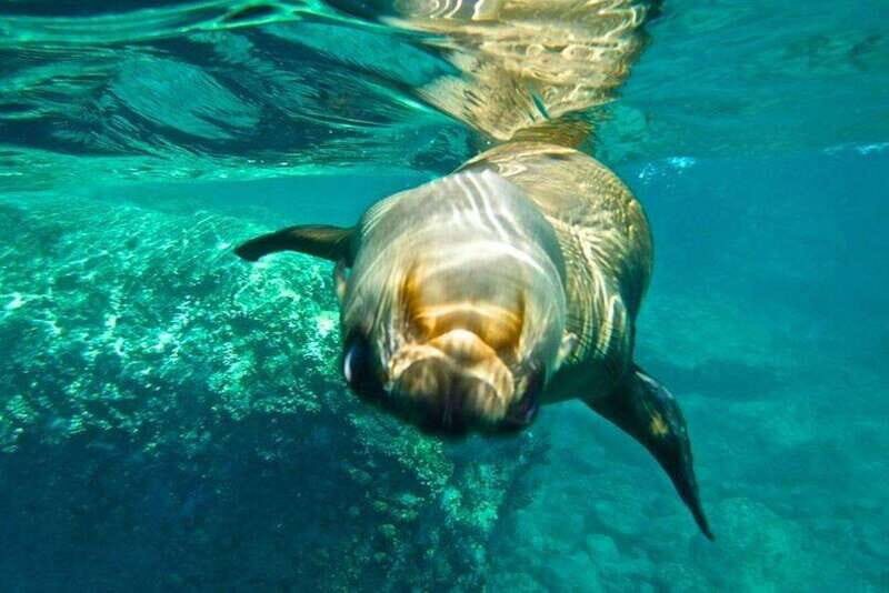 From La Paz: Espiritu Santo Island Adventure - Why This Tour Stands Out