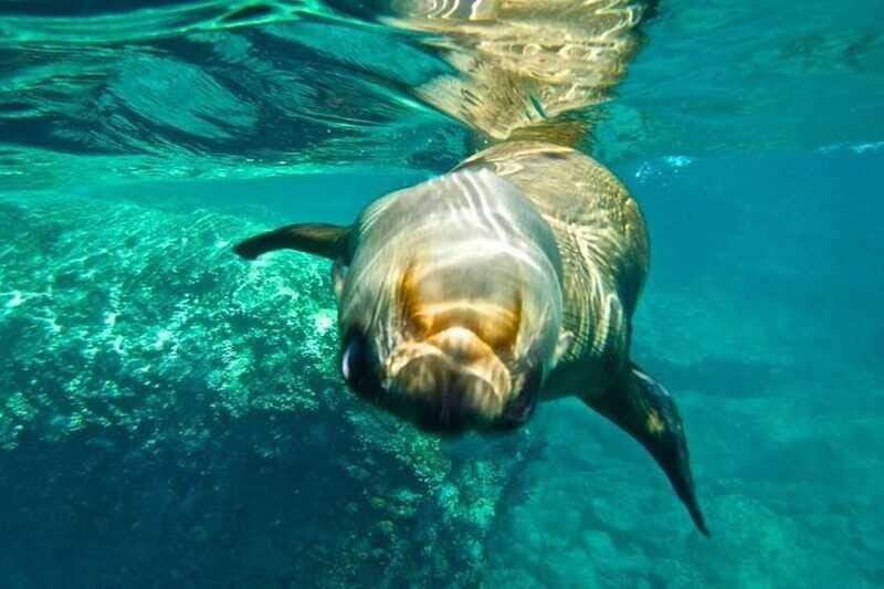 From La Paz: Espiritu Santo Island Adventure - FAQ