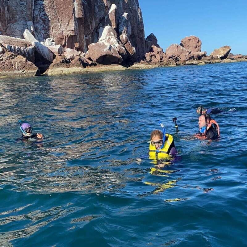 From La Paz: Espíritu Santo Island Tour all inclusive - The Value of This Experience