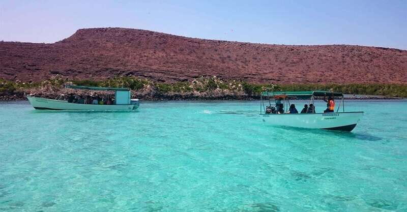 From La Paz: Espíritu Santo Island Tour all inclusive - Final Thoughts
