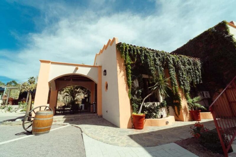 From La Playa: Vineyard Tour w/ Tasting & Todos Santos Stop - The Sum Up