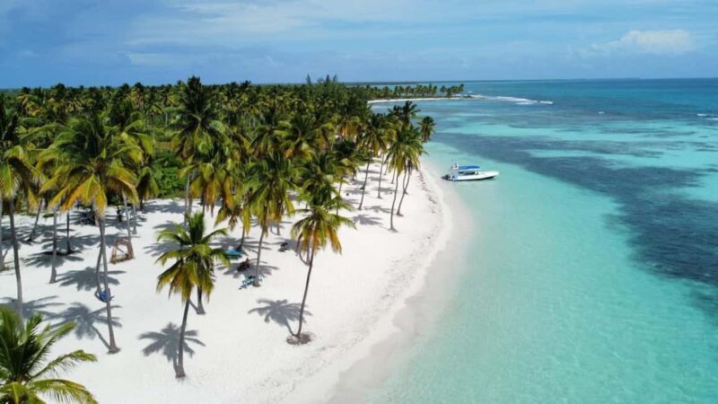 From La Romana: Saona Island for Aida Cruises Passengers - Key Points